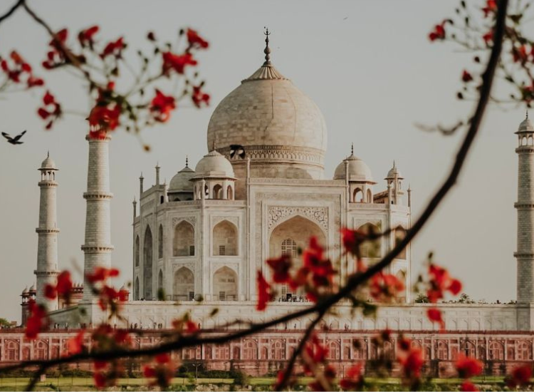 Du lịch Ấn Độ